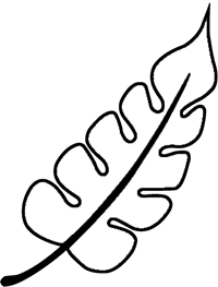 Bumi Pakubuwono
